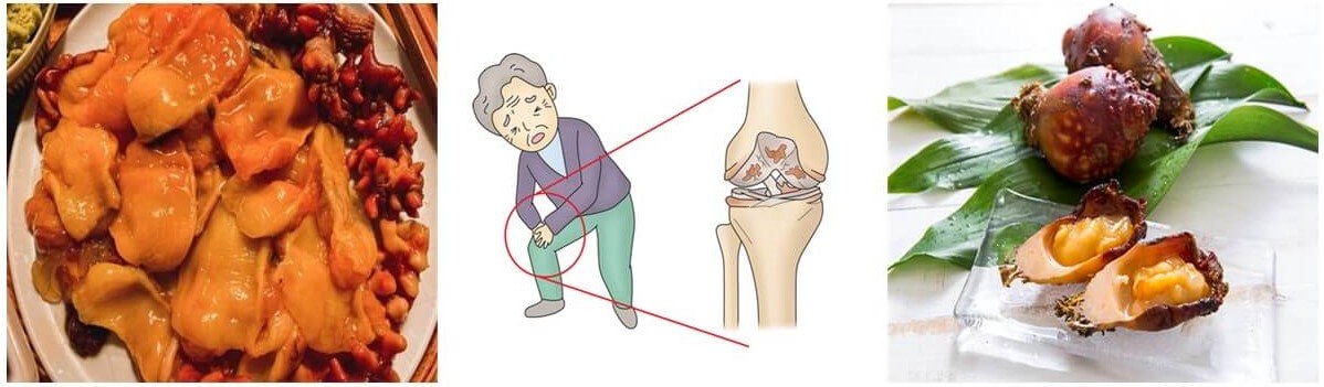멍게 효능_관절염 개선