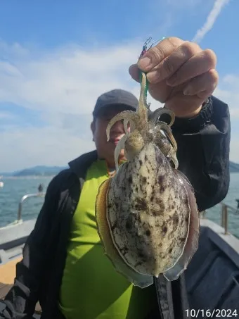 갑오징어 제철 시기 요리 레시피 황금레시피_21