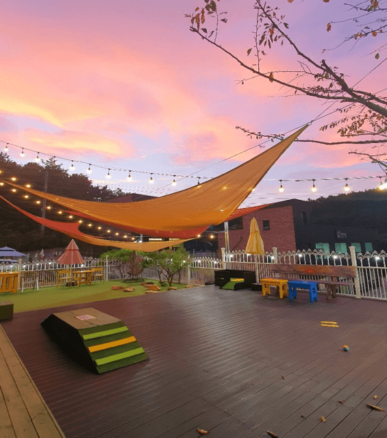 김포공항 애견센터 독독