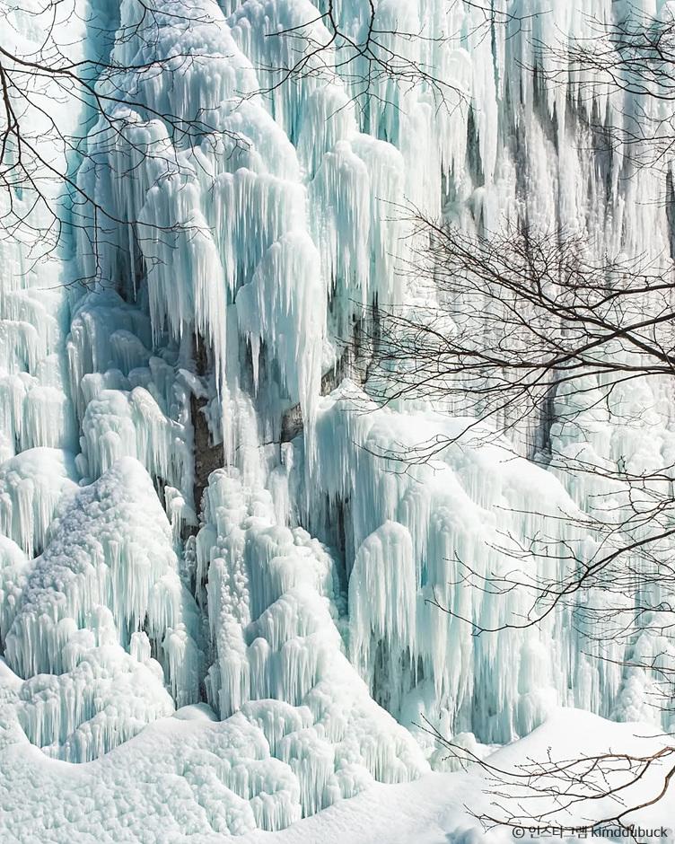 겨울 가족 여행