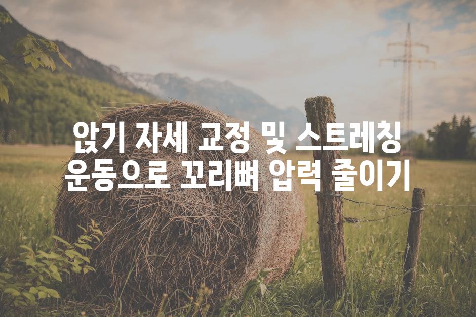 앉기 자세 교정 및 스트레칭 운동으로 꼬리뼈 압력 줄이기