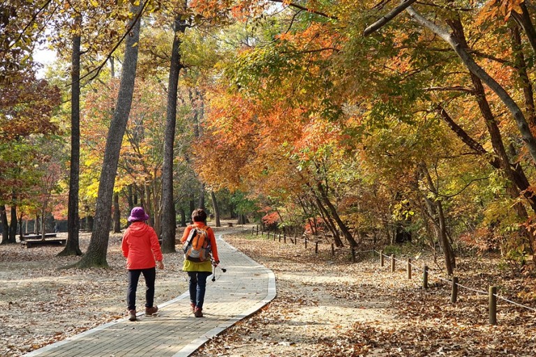 포천 국립수목원1