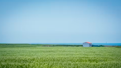 제주도 렌트카 비교사이트