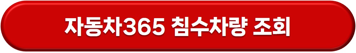 침수차 구별법