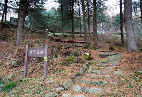 강원도 가볼만한곳 이미지 입니다.