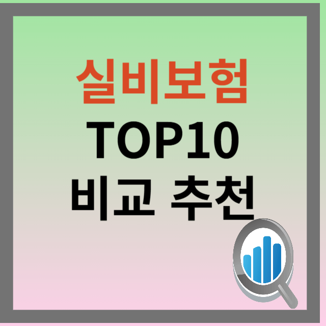 실비보험 TOP10