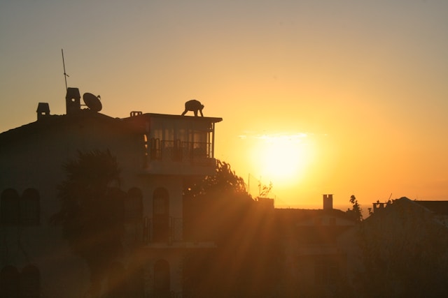 강릉 바다 앞 통창 오션뷰 펜션 베스트 5 완벽 정리