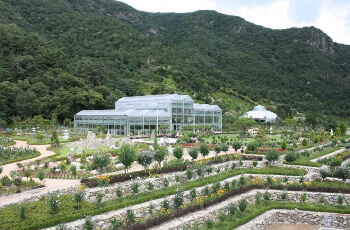 고산 자연휴양림 무궁화 테마식물원