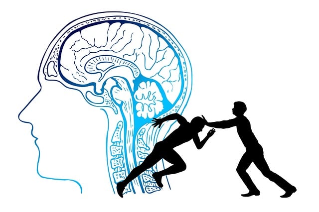 편집성 성격 장애(의심병) 증상