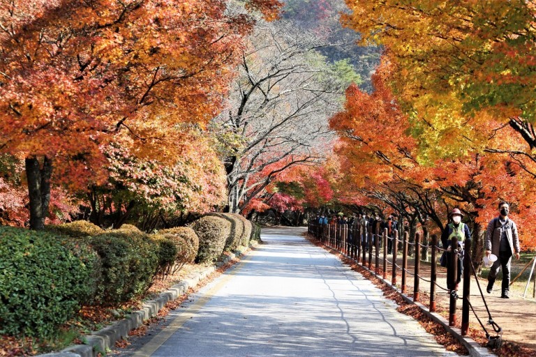 내장산-국립공원-완벽-가이드-썸네일