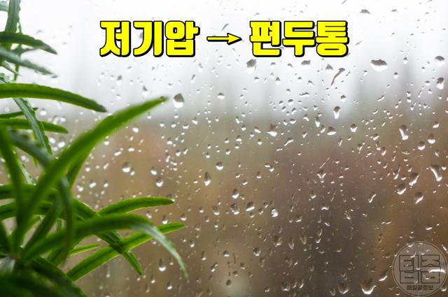 편두통 원인 해결 날씨 비