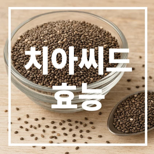 치아씨드 효능
