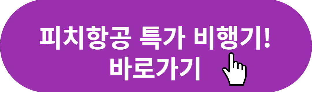 피치항공 일본 오사카 왕복 비행기값 구매하기