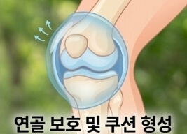 연골주사 맞고 운동해도 될까? 슬로우 조깅 시작 시기 총정리