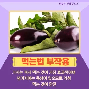 가지 효능 혈압 당뇨 관리 도움 정보_18