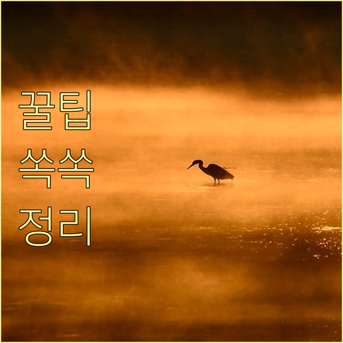 당신의 지갑이 지역 경제를 살린다: ..