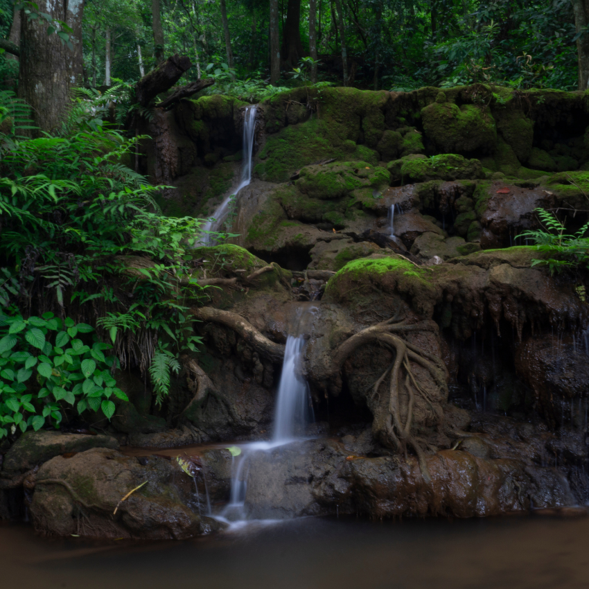 2024년 장마 기간 예측_15
