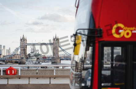 버스타고 홈페이지