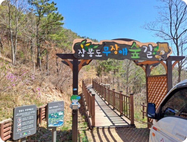 장봉도 여행 벚꽃축제