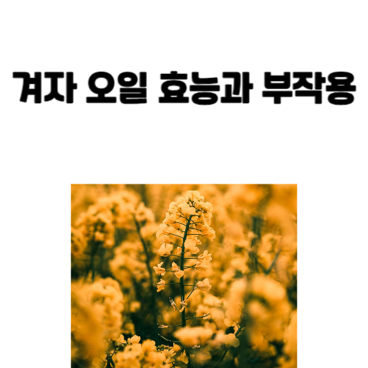 겨자 오일 효능과 부작용