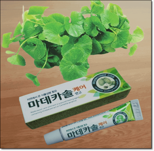 마데카솔 연고 효능 및 용도 주요 성분과 주의점, 마데카솔 연고와 병풀