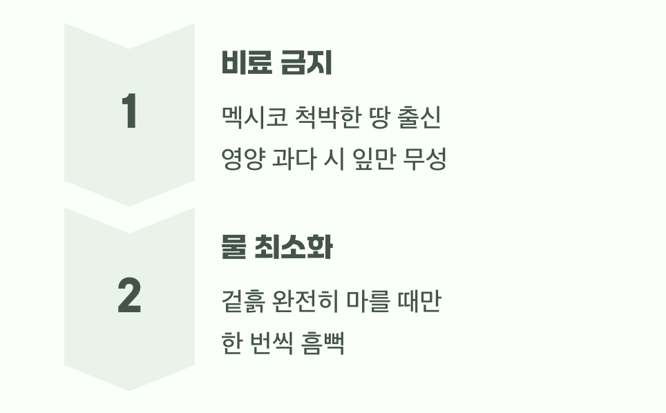 과한 사랑이 독이 되는 이유