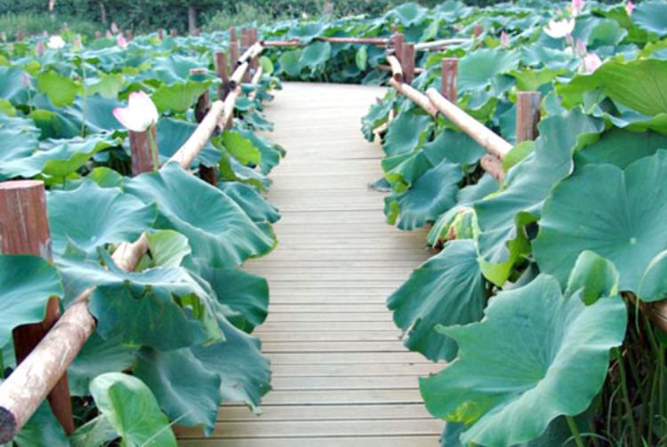 태안 청산수목원