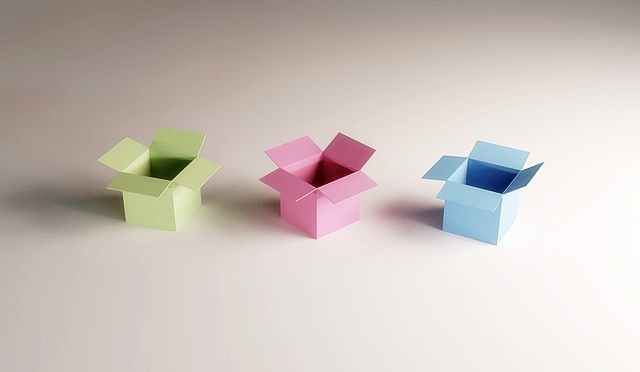 청년월세 한시 특별지원