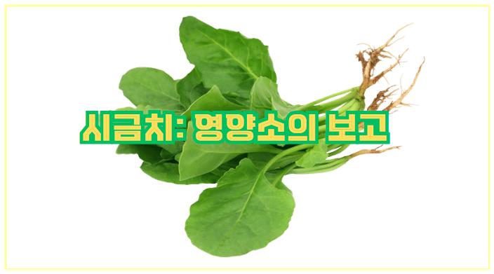 시금치: 영양소의 보고