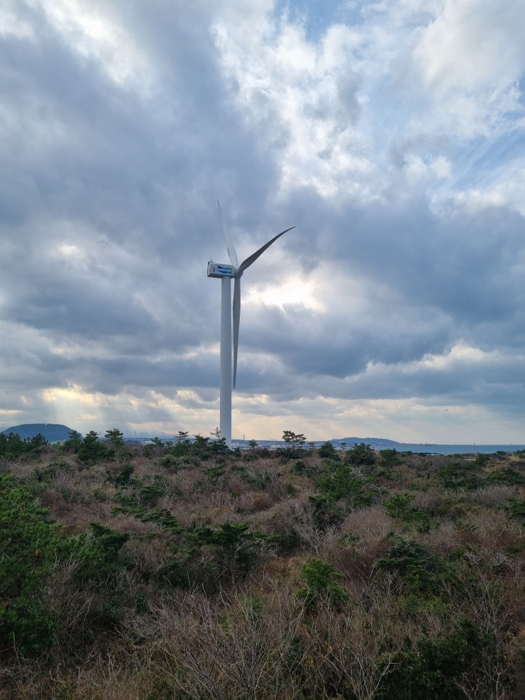 풍력발전기-이국적인-모습