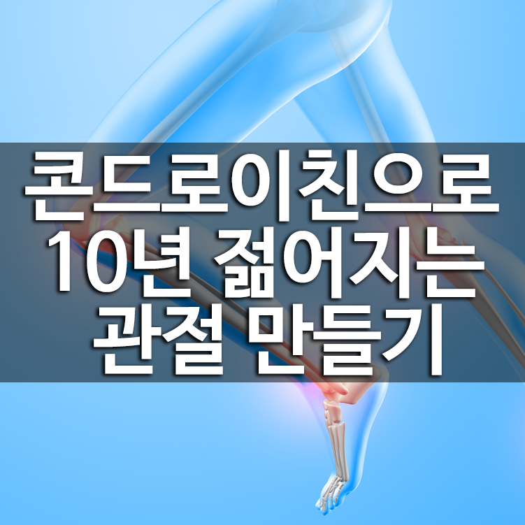 콘드로이친으로 10년 젊어지는 관절 만들기