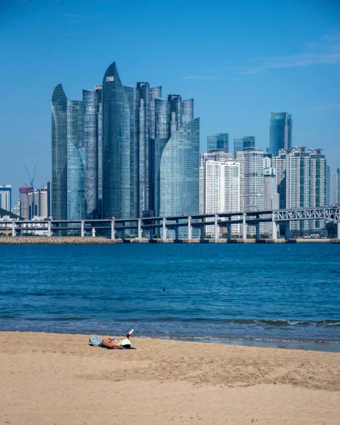 2025년 부산 해운대 해수욕장 개장 및 편의시설 정보