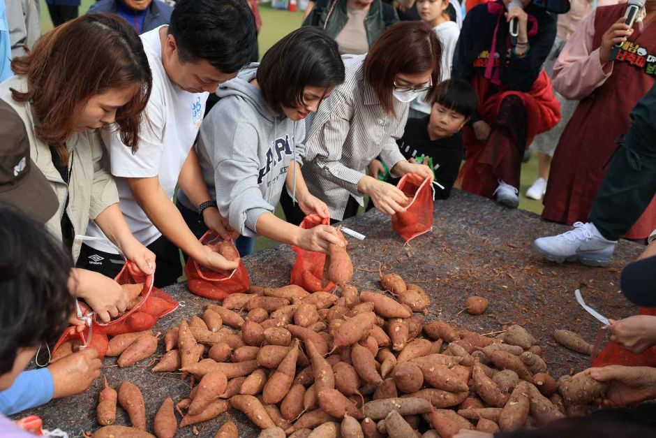 2024 해남미남축제 기본정보와 프로그램 정리 미스김 박서진 오유진 출연