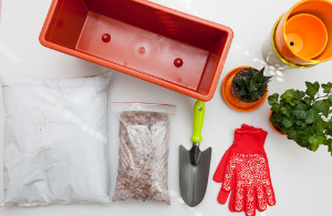 플랜터 토마토 재배