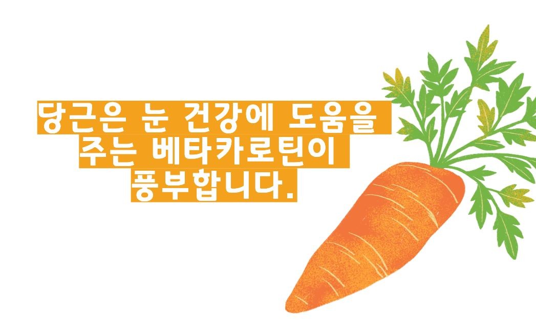 당근 효능 부작용