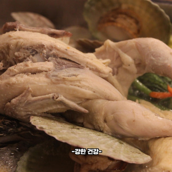 닭백숙 황금레시피