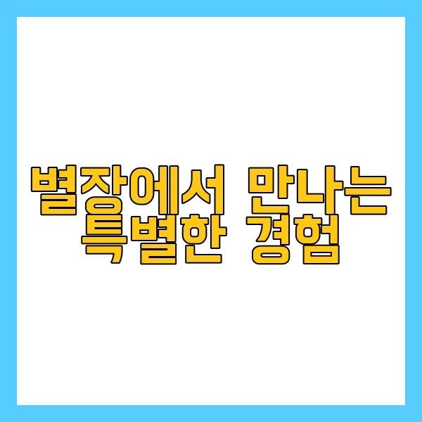 크리스마스 별장