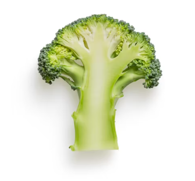 류마티스 관절염에 좋은 음식 영양제 식단