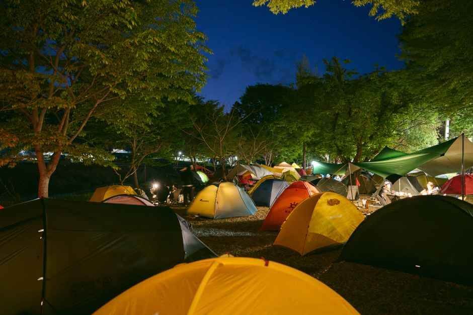 영양 산나물 축제 날짜. 장소. 일정