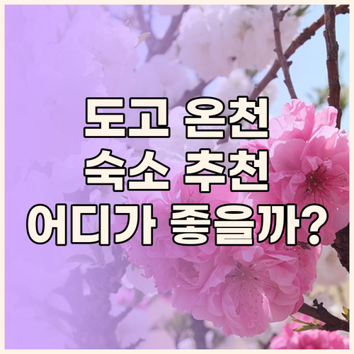 도고 온천 근처 숙소 추천! 야마토야