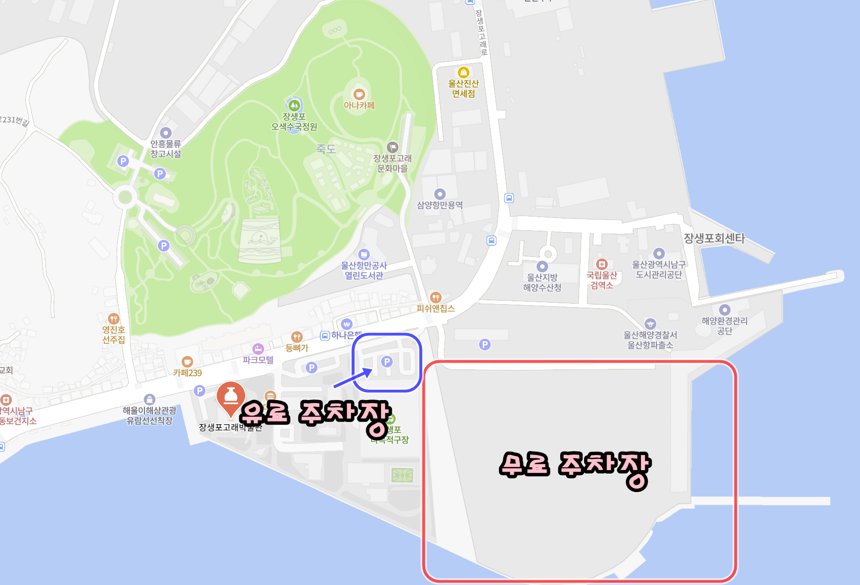 장생포 수국축제 주차장과 무료 셔틀버스 안내 지도
