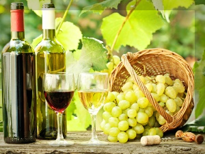 포도주-효능