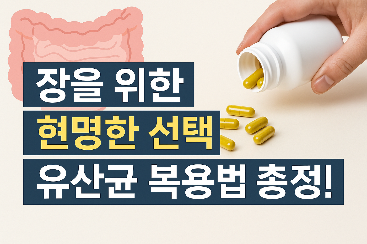 장을 위한 유산균 복용법 총정리