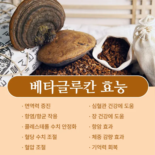 베타글루칸 효능