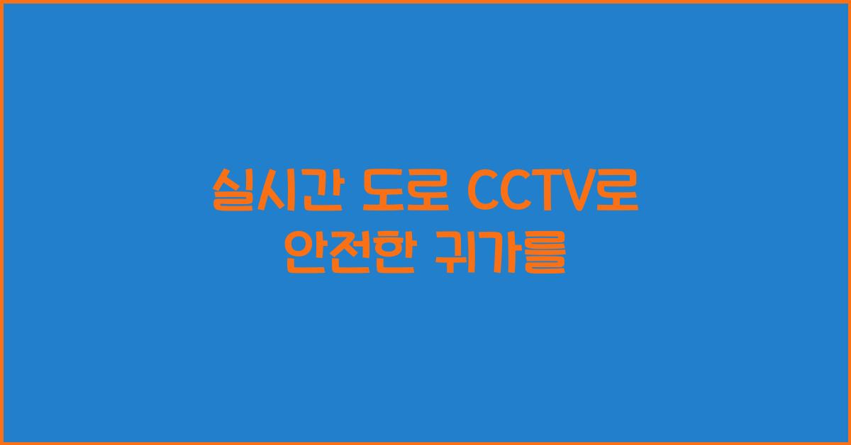 실시간 도로 cctv