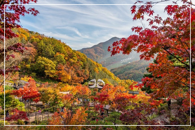 화담숲 가을 이미지