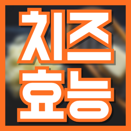 치즈, 어디에 좋은가요? 종류별 효능과 영양소 한눈에 보기