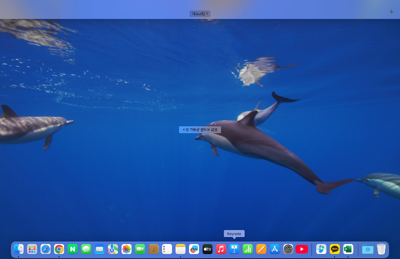 미션 컨트롤(Mission Control)로 여러 창 한눈에 보기