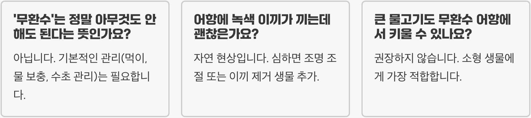 무환수어항 만들기 A to Z (초보자 필독)