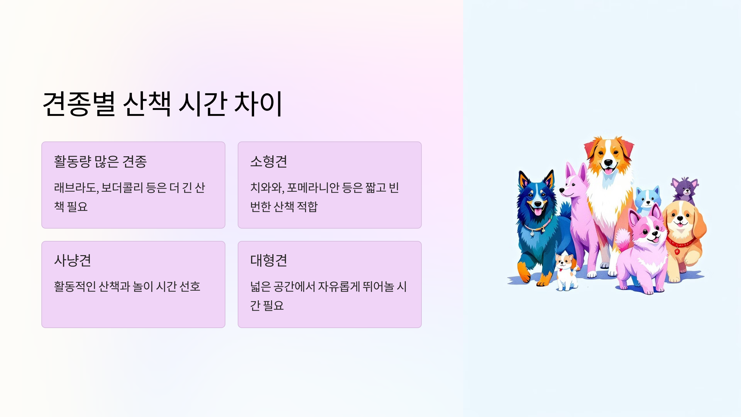 하루 적정 산책 시간